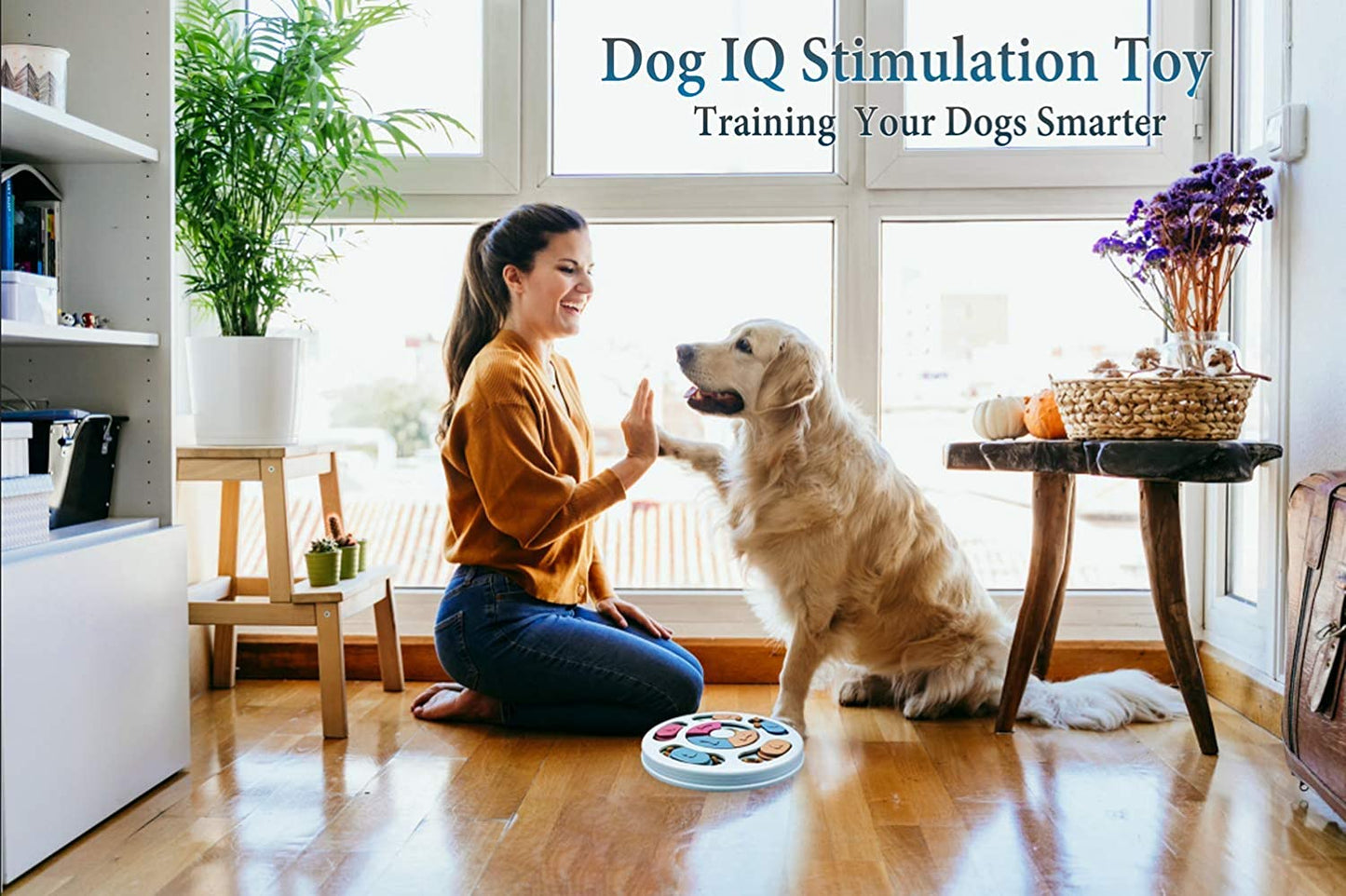 Interactive Puzzle Toy for Dogs & Cats | Mental Stimulation Game & Slow Feeder Bowl