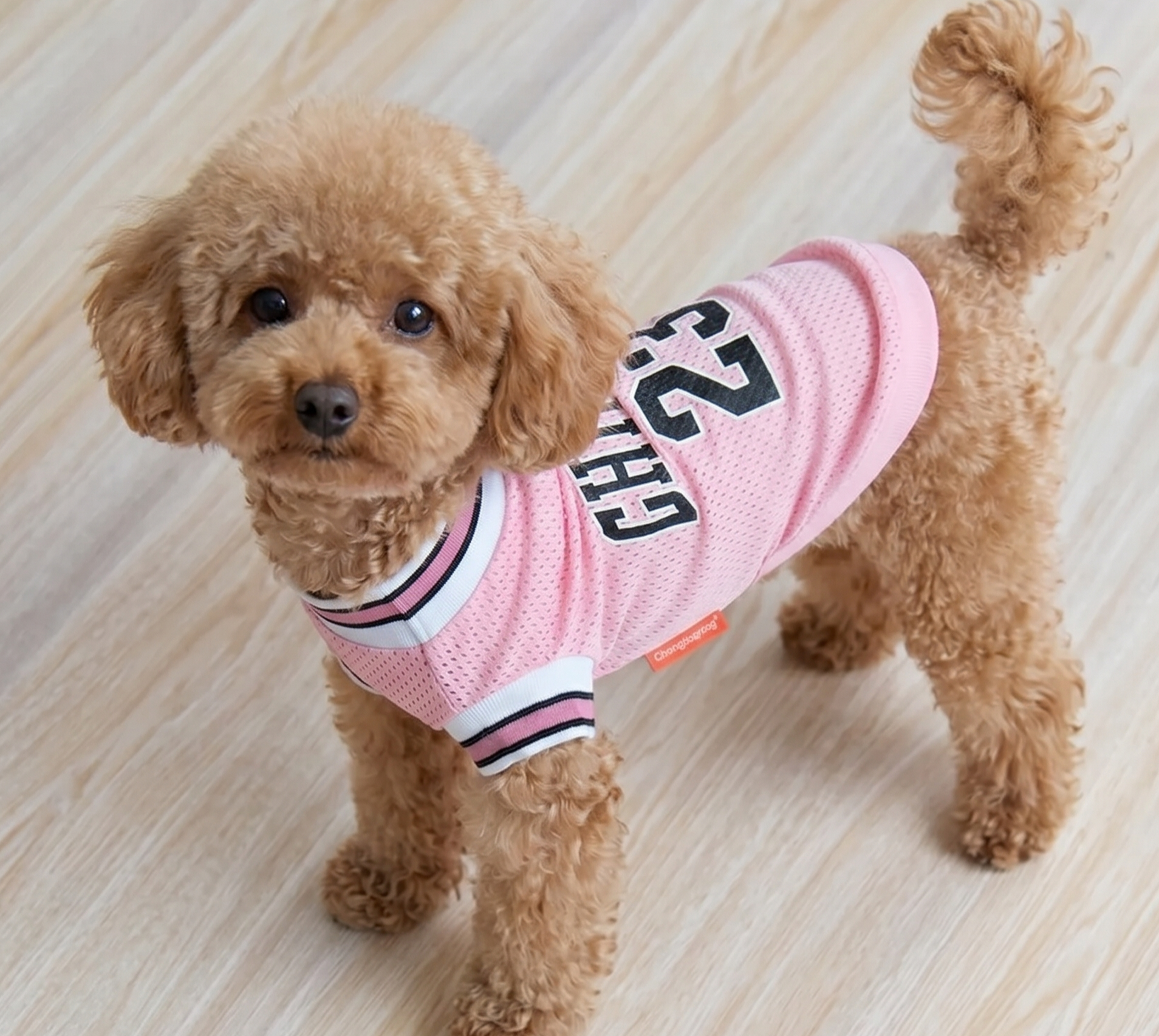 Premium "Chicago 23" Pet Basketball Jersey | Breathable Mesh Summer Shirt for Dogs & Cats