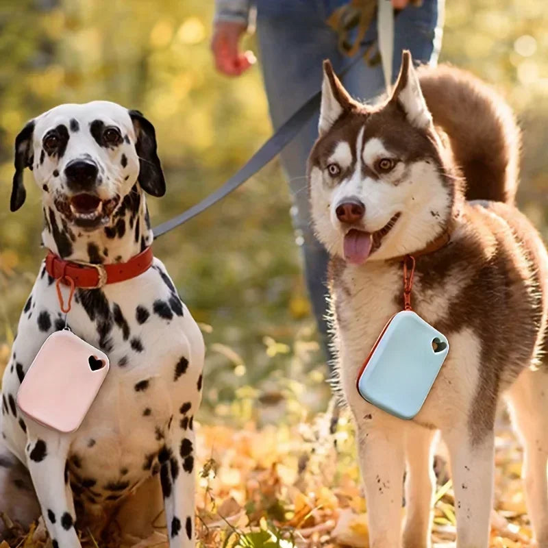 Silicone Pet Food Pouch Outdoor Dog Walking Bag Training Dog Treat Pouch Portable Waterproof Food - Grade Pet Food Storage Bag
